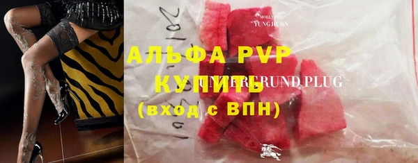 индика Медногорск