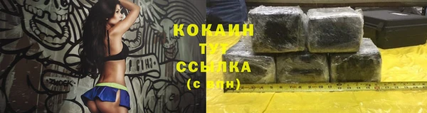 индика Медногорск