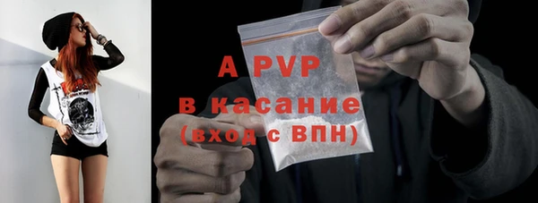 индика Медногорск