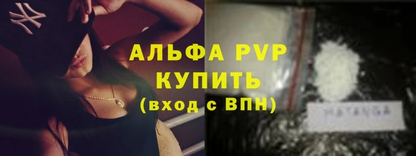 индика Медногорск