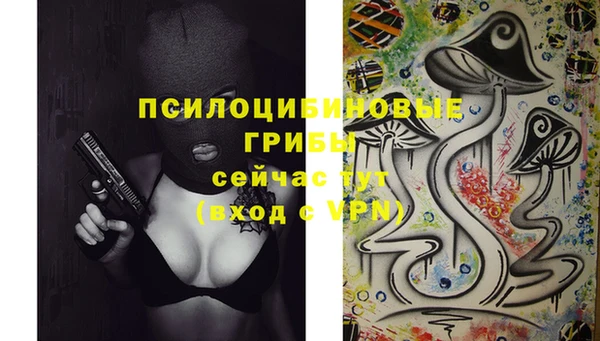 стаф Медвежьегорск