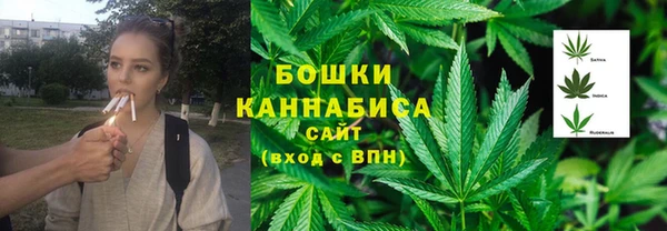 индика Медногорск