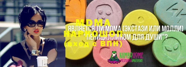 индика Медногорск