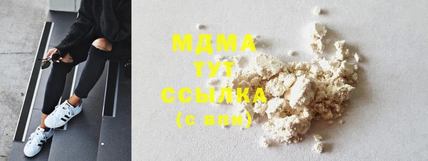 индика Медногорск