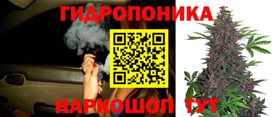 PSILOCYBIN Бугуруслан